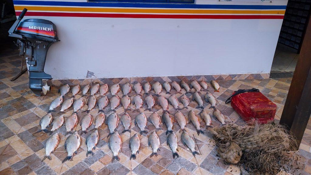 Pesca ilegal no Rio São Francisco: 40 kg de peixe apreendido durante piracema