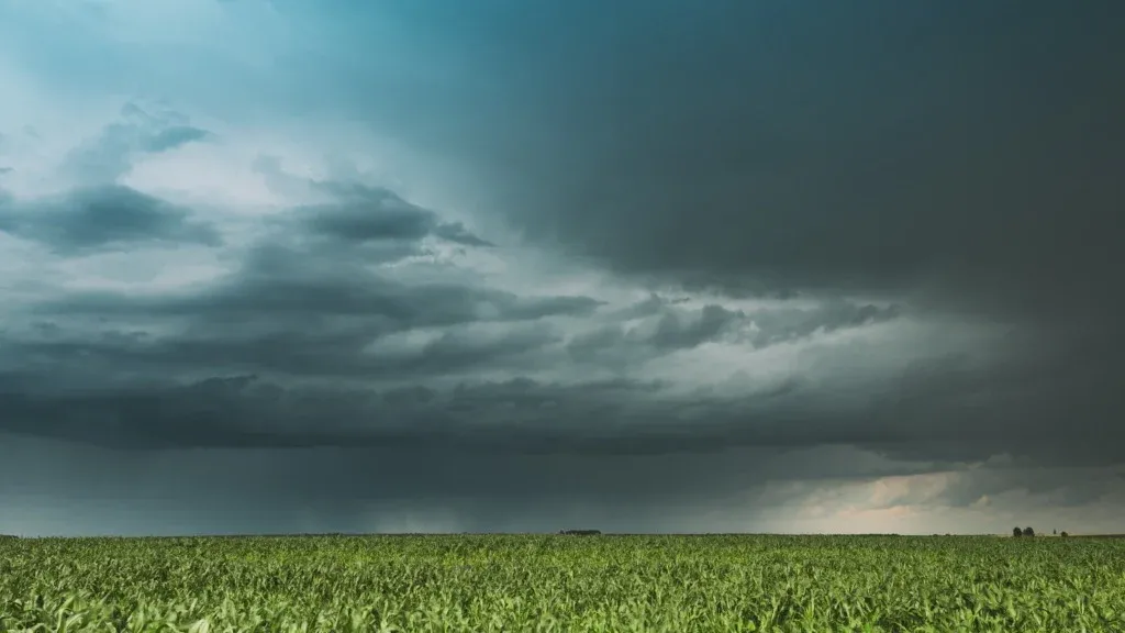 Alerta laranja: cinco estados estão em perigo para fortes chuvas, diz Inmet